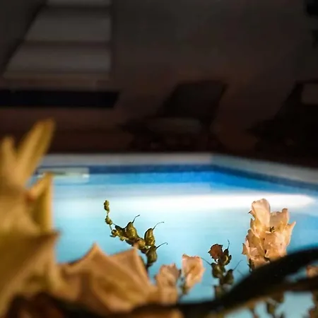 Kala By Kompas * פובליה